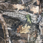 Camo